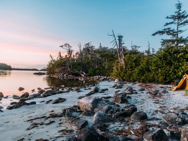 Great Bear Rainforest kayaking holiday
