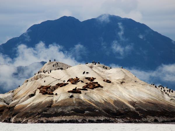Patagonia kayaking holiday