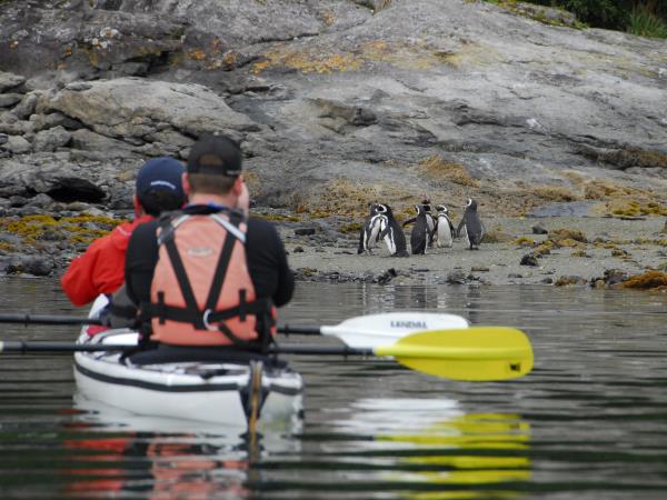 Patagonia kayaking holiday
