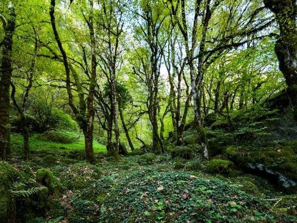 Greece walking holiday, Zagorohoria and Lefkada island