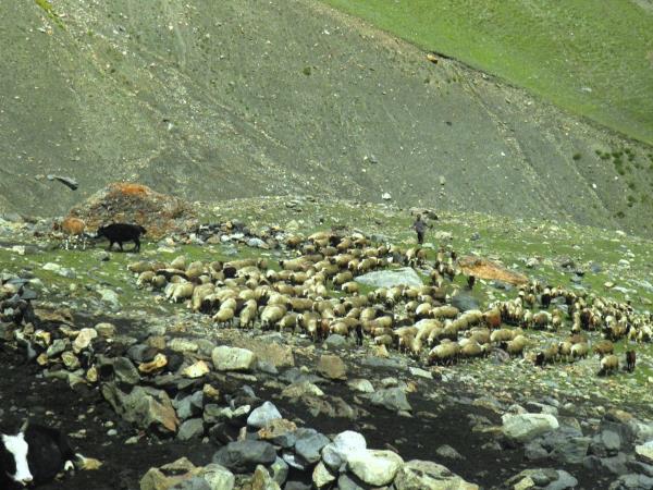 Pakistan Thalle La Trek holiday, Karakoram mountains