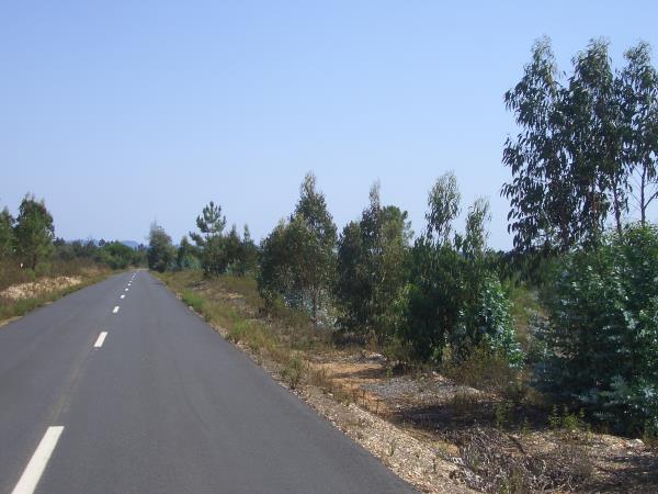 Lisbon to the Algarve cycling tour