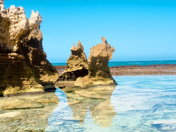 Garden Route tour in South Africa