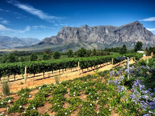 Garden Route tour in South Africa
