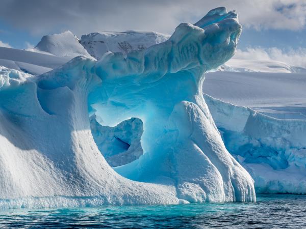Antarctic 8 day tour