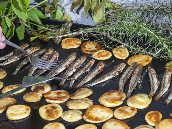 Croatia gastro sailing tour