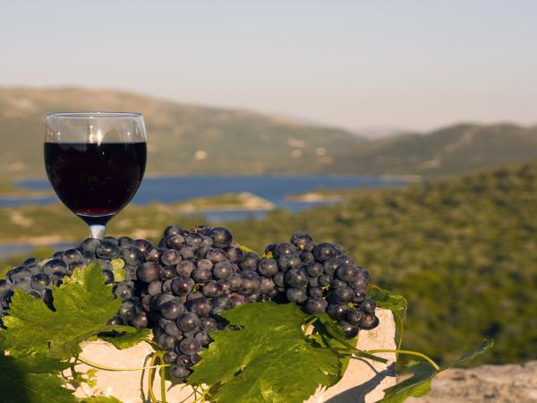 Croatia gastro sailing tour