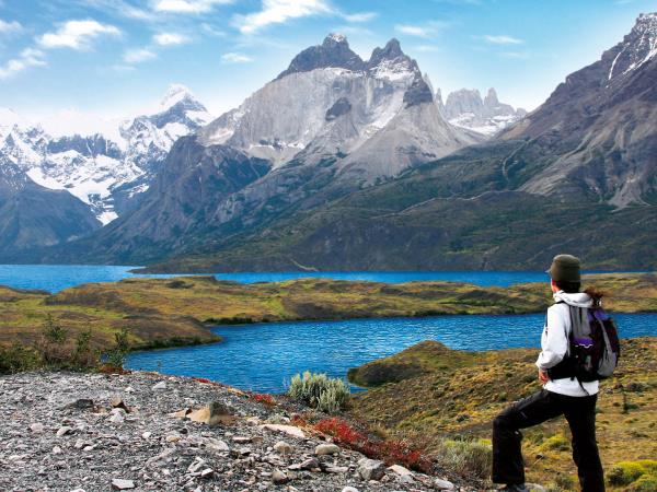 Puma tracking in Patagonia holiday
