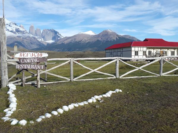 Puma tracking in Patagonia holiday