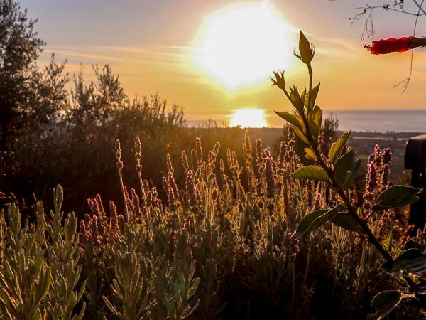 Multi activity holiday in Greece, Peloponnese