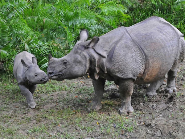Nepal 4 wheel drive adventure tour