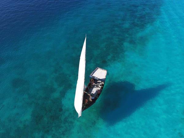 Kenya safari and Zanzibar beach holiday