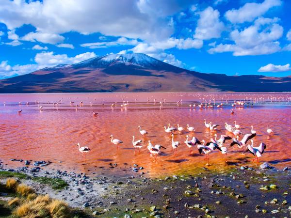 Bolivia highlights tour