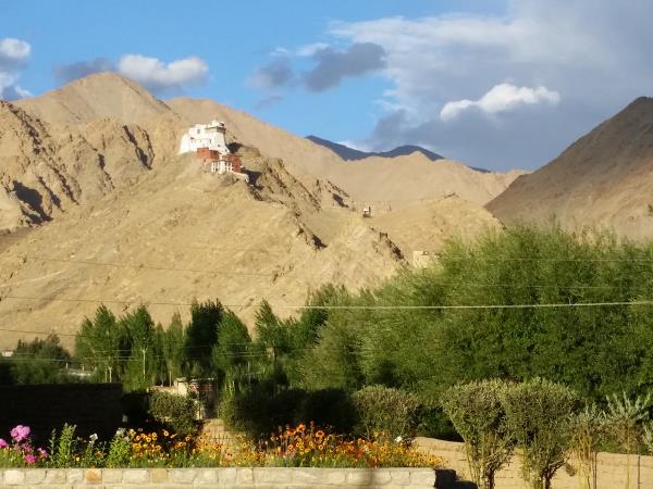 Ladakh mountains trekking adventure
