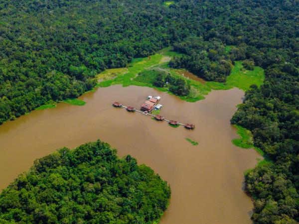Amazon jaguar research expedition, Brazil