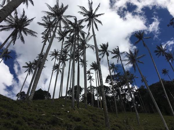 Colombia tour, small group