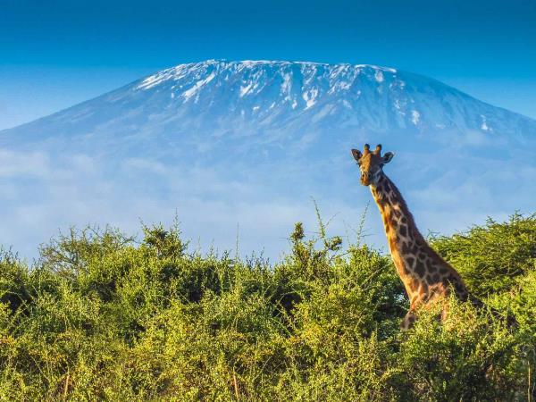 Kilimanjaro Machame Route trekking holiday