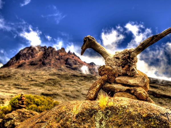 Kilimanjaro Machame Route trekking holiday