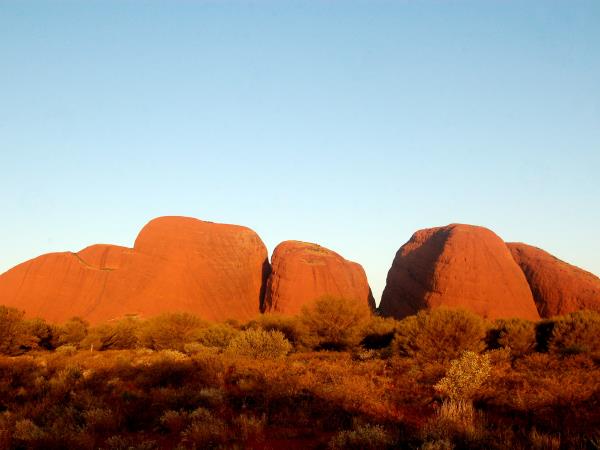 Australia wildlife tour in Northern Territory