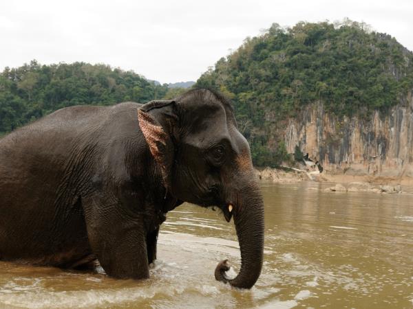 Laos holiday, tailor made
