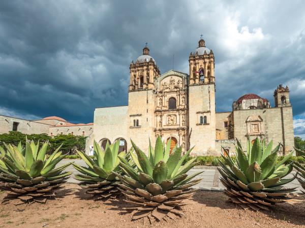 Mexico tour with Day of the Dead Festival
