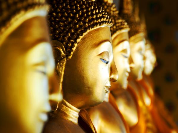 Thailand tour, jungle and islands