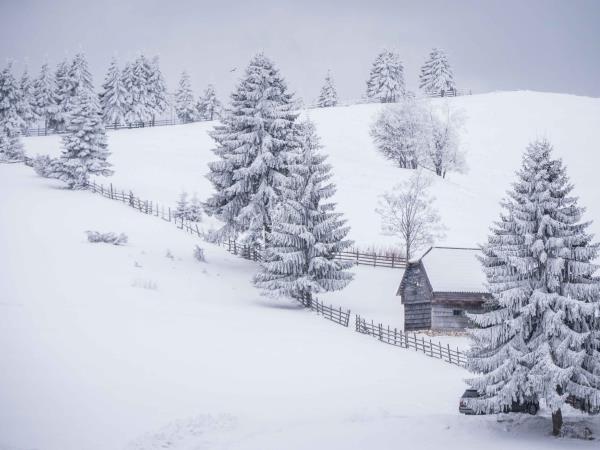Transylvania winter tour in Romania, self drive