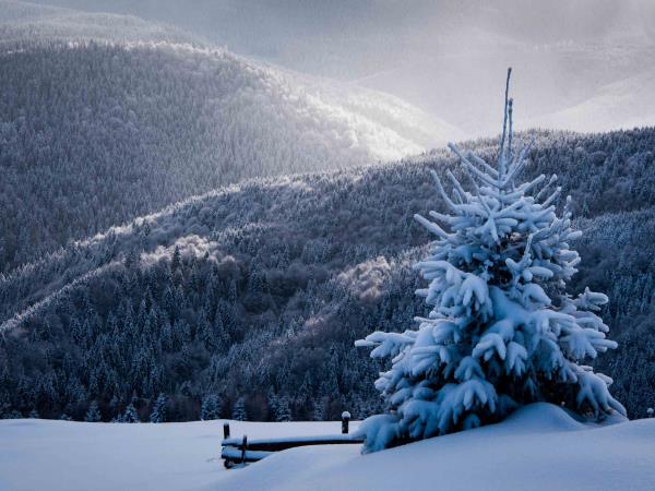 Transylvania winter tour in Romania, self drive