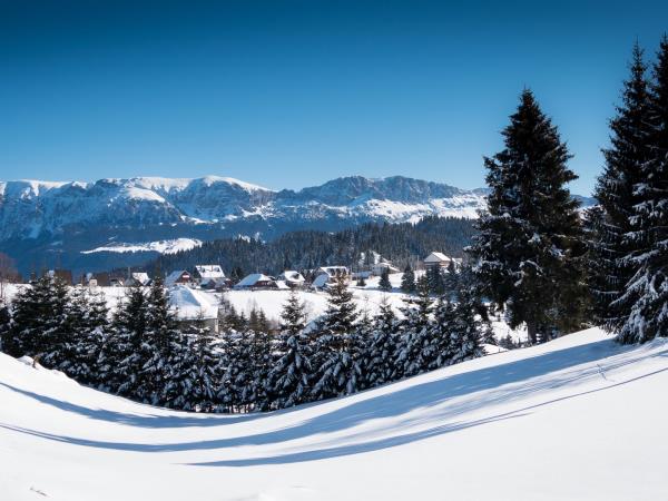 Transylvania winter tour in Romania, self drive