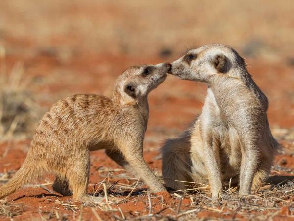 Namibia classic self drive tour