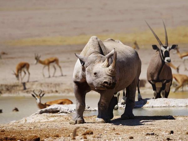 Namibia classic self drive tour