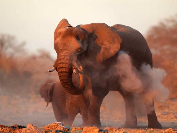 Namibia classic self drive tour