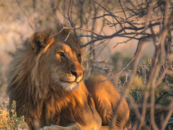 Namibia classic self drive tour