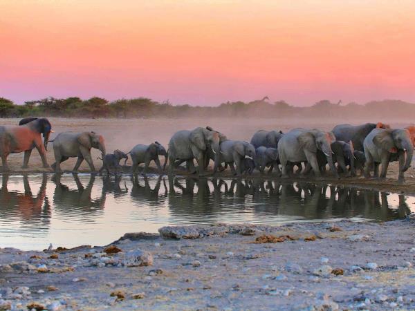 Namibia classic self drive tour