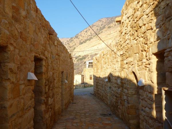 Jordan tour, tailor made