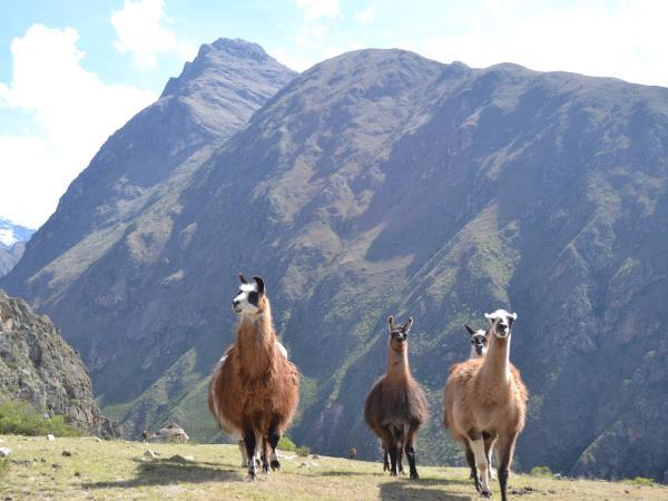 Peru cycling holiday