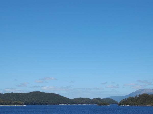 Tasmania and Victoria wildlife holiday, Australia