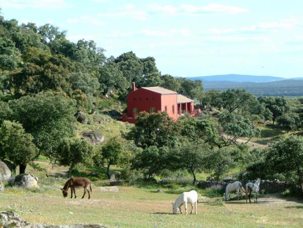 Extremadura holiday accommodation, Spain