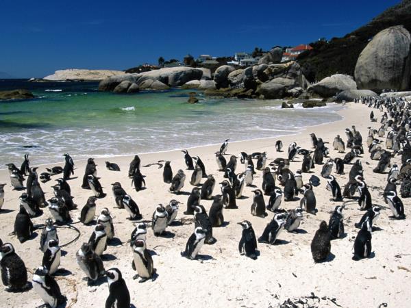 South Africa family adventure holiday, tailor made