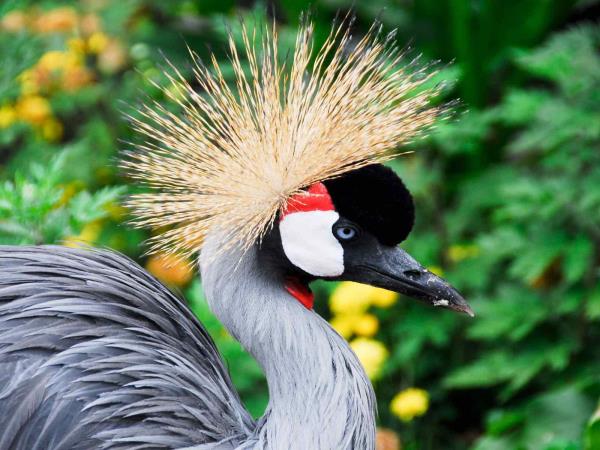 Uganda discovery tour