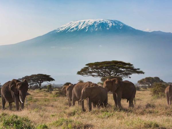 Tanzania holiday, Kilimanjaro trek, safari & beach