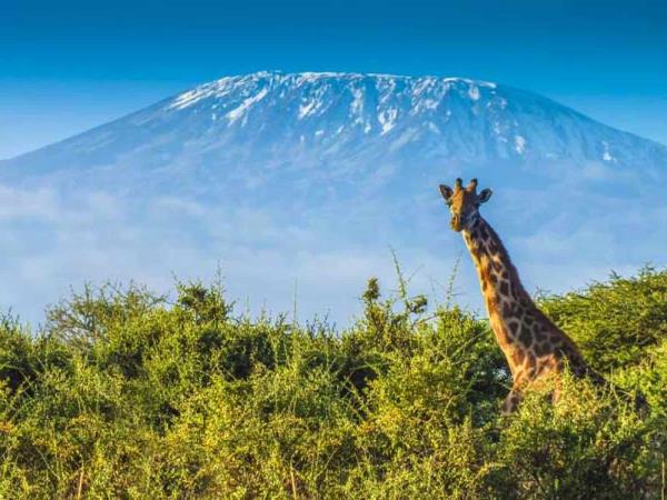 Tanzania holiday, Kilimanjaro trek, safari & beach