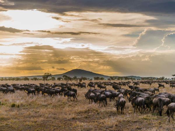Tanzania holiday, Kilimanjaro trek, safari & beach