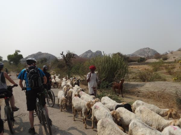 Rajasthan cycling tours in India