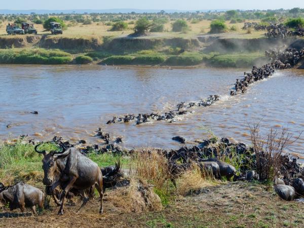 Serengeti safari holiday, Tanzania