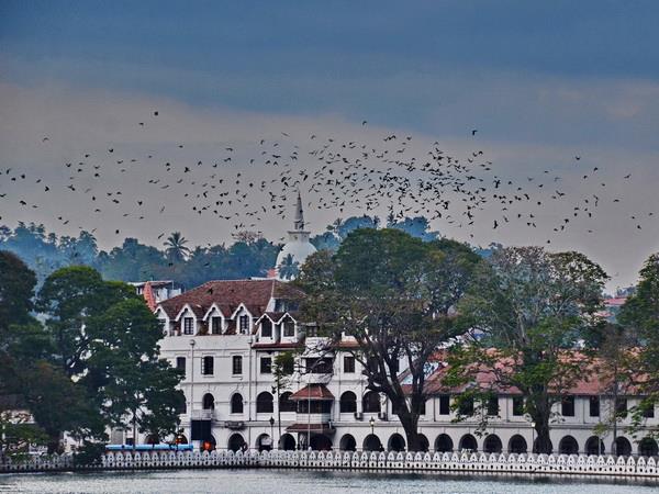 Sri Lanka holiday, island explorer