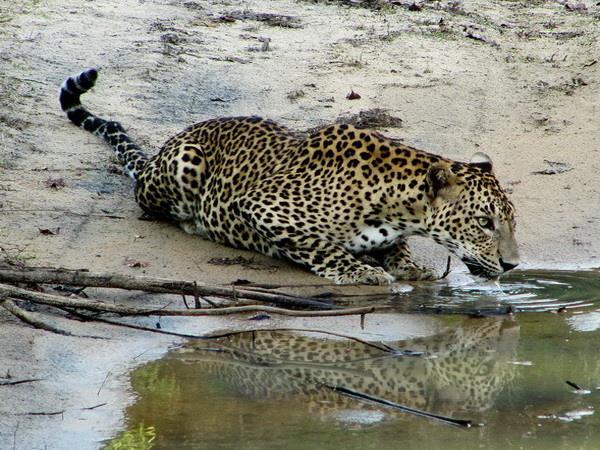 Sri Lanka holiday, island explorer