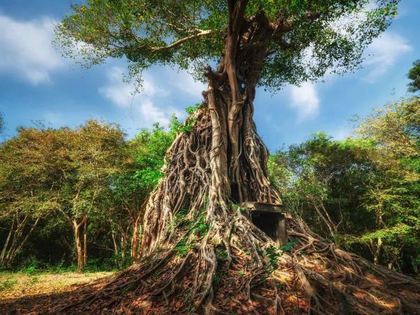 Complete Cambodia holiday