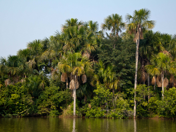 Cusco and Peruvian Amazon holiday