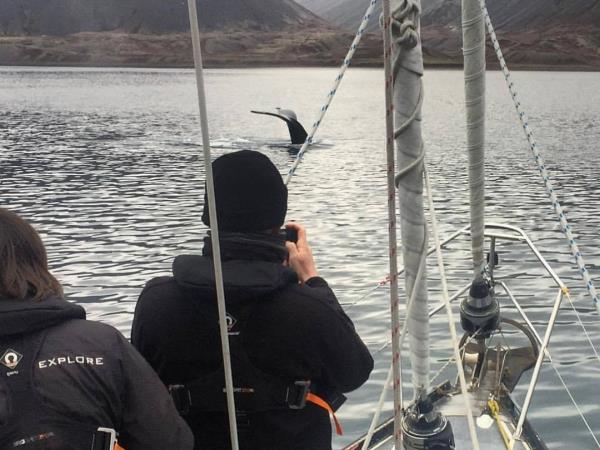 Svalbard sailing holiday